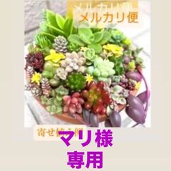 マリ様専用 - メルカリ