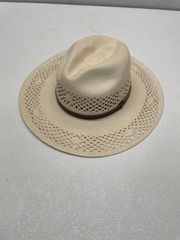 Item thumbnail for item 485819a7-0290-417b-955d-0d194f8148be