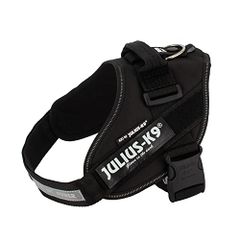 Item thumbnail for item 9420ca72-480f-4ab4-95e3-354c325ad005