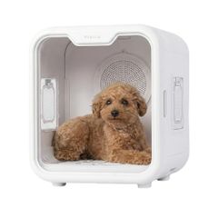 Item thumbnail for item 7f197fb4-af5a-45a5-b8c2-b3a94211320f