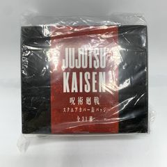 中古】未開封）呪術廻戦 スクエアカバー缶バッジ 全31種セット