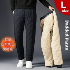 Item thumbnail for item 0aaa4aa1-3ffe-4c17-b28a-93269aa70025