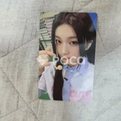 NOT CUTE ANYMORE dingo music GIFT