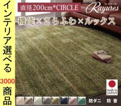 展示品】アクタス「TANGO II 」シャギーラグ 240×170cm 大型 - メルカリ