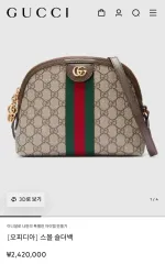 グッチ オフィディア ショルダーバッグ