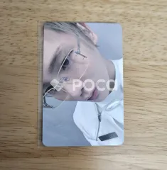 シャイニ キー Mr. Freak's Lab : Sweet Escape 5万円以上購入