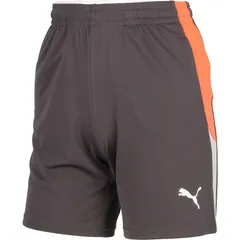 puma(プーマ) INDIVIDUALLIGA トレーニング サッカープラクティクスパンツ (659838-10)、SHADOW-GRY-P
