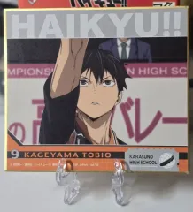 ハイキュー COOGI(クージー) ビジュアル色紙 (影山 飛雄 日向 翔陽 まとめ)