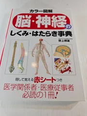 脳・神経のしくみ・はたらき事典 カラー図解