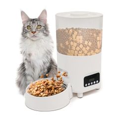 Item thumbnail for item 6c68d1d0-2330-4156-a414-fecf7b67403a