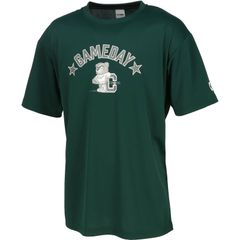 Item thumbnail for item 6ae6a45d-73c0-4070-94b4-9d892a25e4e5