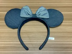 東京ディズニーランドで購入したカチューシャ