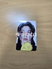 straykids フィリックス スキズ KARMA SKZOO Ver.