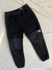 THE NORTH FACE ザノースフェイス フリース パンツ