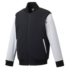 Item thumbnail for item 61e67563-6c1d-4d7e-af0e-74f06e155dc4