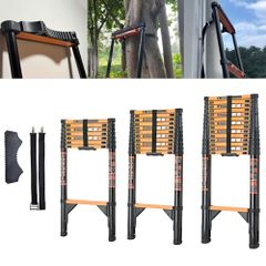 Item thumbnail for item 44ce8a12-95f4-445d-9a34-a7372ead22af