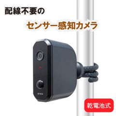 Item thumbnail for item 05da09c0-8917-488a-833e-f7a696939207