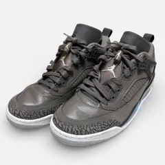 美品 NIKE JORDAN SPIZIKELOW ケイブストーン グレー 27