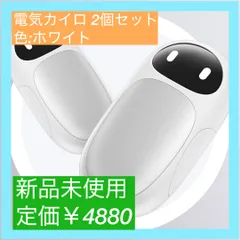 【大特価】充電式カイロ 2秒急速発熱 3階段温度調節 【小型 超軽量 磁気式/分離式設計】 電気カイロ 2個セット 6000mAh クリスマスプレゼント 最大14時間連続使用 持ち運びやすい 5V/2A急速充電 繰り返し利用 旅行 出張 通勤通学用 寒さ対策