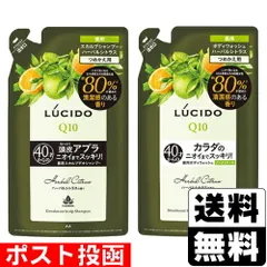 【新品】[マンダム]ルシード 薬用スカルプデオシャンプー ハーバルシトラス 詰替え 380ml+薬用デオドラントボディウォッシュ ノンメントール ハーバルシトラス 詰替え 380ml