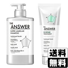 tm　アンバー　シャンプー　トリートメント　セット ＆honey アンドハニー シャンプー トリートメント セット ボトル