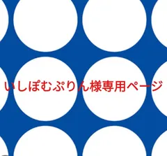 いしぽむぷりん様専用ページです。