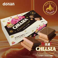 道南食品 北海道生食感チェルシー キャラメルサンド バタースカッチ味 6入 送料無料 北海道産 ご当地 キャラメル 地域限定 大人気 定番 お土産 手土産 ギフト プレゼント 贈り物 クリスマス バレンタイン ホワイトデー