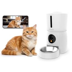 Item thumbnail for item c19b86ba-47a7-4626-8abf-4613d93e651c