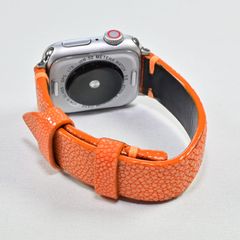 Item thumbnail for item 6689a237-99c5-4718-9799-1e8776704f0f