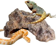 Item thumbnail for item ad87e765-96d0-4aa9-8c38-de912b5bc810