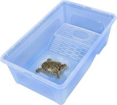 Item thumbnail for item 079b9200-5b3f-49fe-bbf8-68dc4316f31c