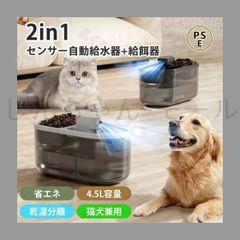 Item thumbnail for item 82fd1e8c-03b2-4b75-b0cc-b36d7ff43cac