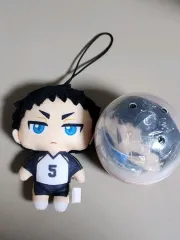新品 ハイキュー ガチャ 赤葦 京治 ぬいぐるみ