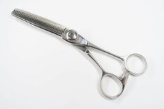 Item thumbnail for item 124db3ee-7389-4648-83be-873716b6426f