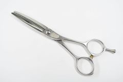 Item thumbnail for item 27f19fc5-c274-40bd-8c2d-41d1d9568249