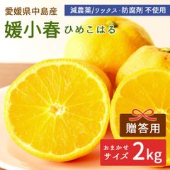 나카지마산 귤 히로코하루 2kg 나카지마 히메코하루 선물용 특선품 사이즈 맡겨 감농약 산지 직송