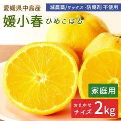 [가정용] 나카지마산 귤 히로코하루 2kg 나카지마 히메코하루 사이즈 혼합 감농약 산지 직송