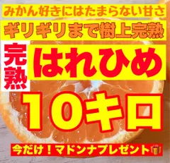 2026年最新】マドンナ 10kgの人気アイテム - メルカリ