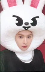 StrayKids JYP SHOP LeeKnow MAXIDENT SKZOO