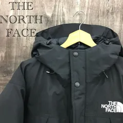 THE NORTH FACE ノースフェイス ゴアテックス マウンテン ダウンジャケット ブラック 黒 L メンズ