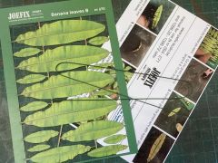 Item thumbnail for item 9571b33f-b00d-475b-ba93-a7f517346d8b