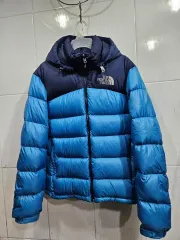 THE NORTH FACE ザノースフェイス グースダウン(ユニセックス90)