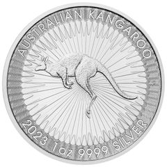 2022カンガルー 1oz 1オンス 銀貨 純銀 硬質カプセル付 - メルカリ