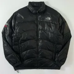 THE NORTH FACE ザノースフェイス サミットシリーズ ダックダウン キルティング ダウン