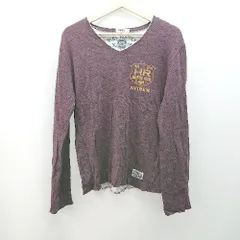 ◇ AVIREX アヴィレックス Vネック イラスト カジュアル 長袖 Ｔシャツ サイズM パープル メンズ E  【1308290048672】