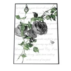 【B4サイズ（約25x36cm）】【pbg-poster-2084】薔薇 花 バラ 白黒 ポスター   ポスター フォト フレーム オシャレ アート モダン シンプル オシャレ お洒落   特大 大きい 小さい 縦