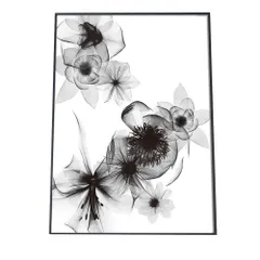 【A4サイズ（約21x30cm）】【pbg-poster-2184】花 フラワー 植物 白黒 スケルトン 植物 ポスター  ポスター フォト フレーム オシャレ アート モダン シンプル オシャレ お洒落  特大 大きい 小さい 縦
