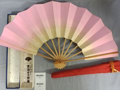 Item thumbnail for item 10b0dc26-bd86-4c89-9427-a4b25be7255b