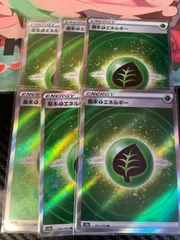 基本草エネルギー 6枚 SR