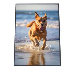 【A4サイズ（約21x30cm）】【si-poster-1277】ポスター サーフ系 海 ブルー さわやか 海岸 ヤシの木 空 インテリア おしゃれ ファッション フォト オシャレ モダン